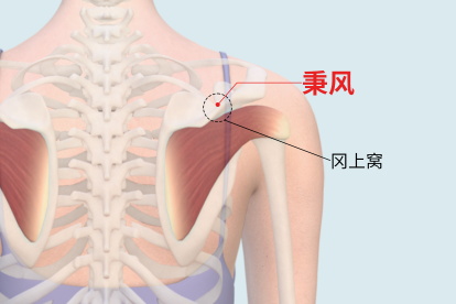 秉风穴的准备位置图片及主治